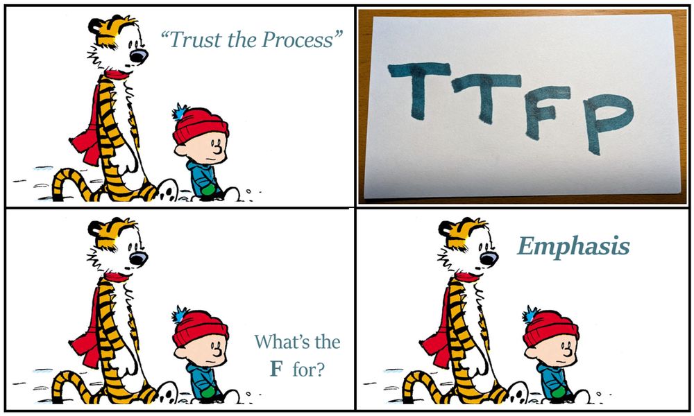 A conversation between Calvin and Hobbes, a thoughtful duo of classic comics. 

They encounter the acronym TTFP.

Hobbes: "trust the process"
Calvin: What's the F for?
Hobbes: *Emphasis*