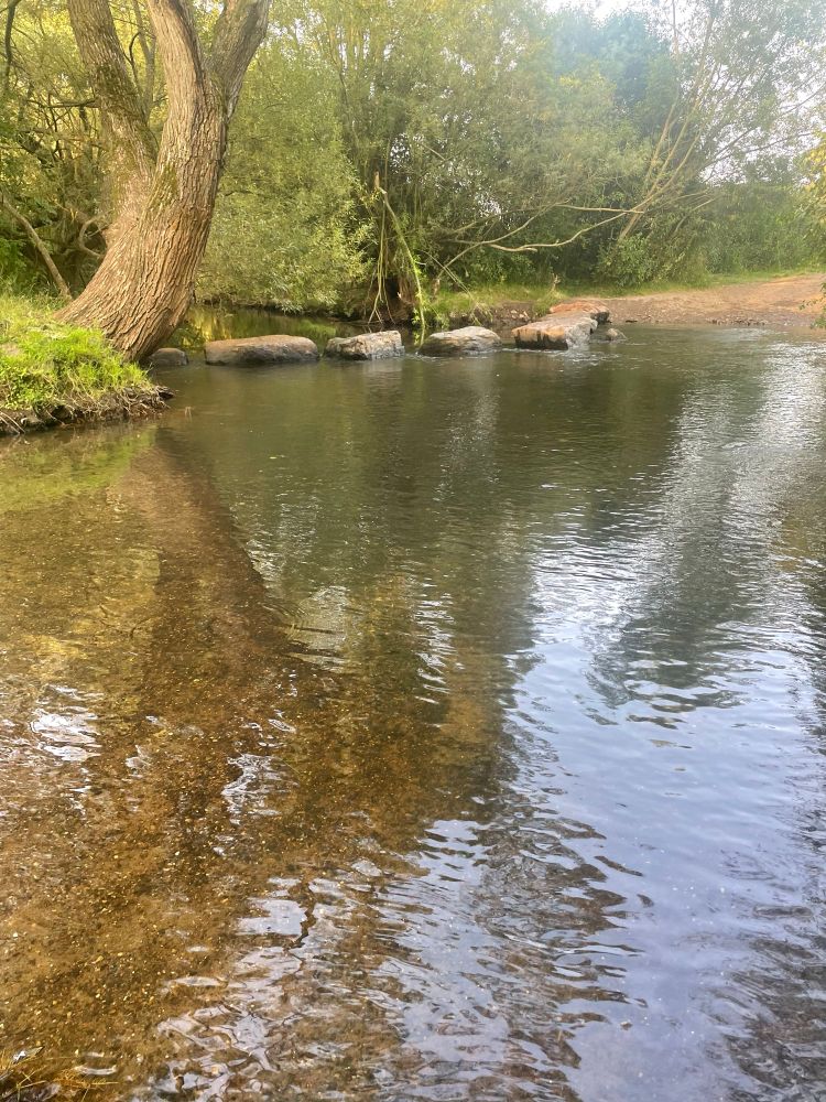 Foto einer flachen Stelle in einem Fluss. Rundherum Bäume und durch den Fluss verteilt liegen große flache Steine 