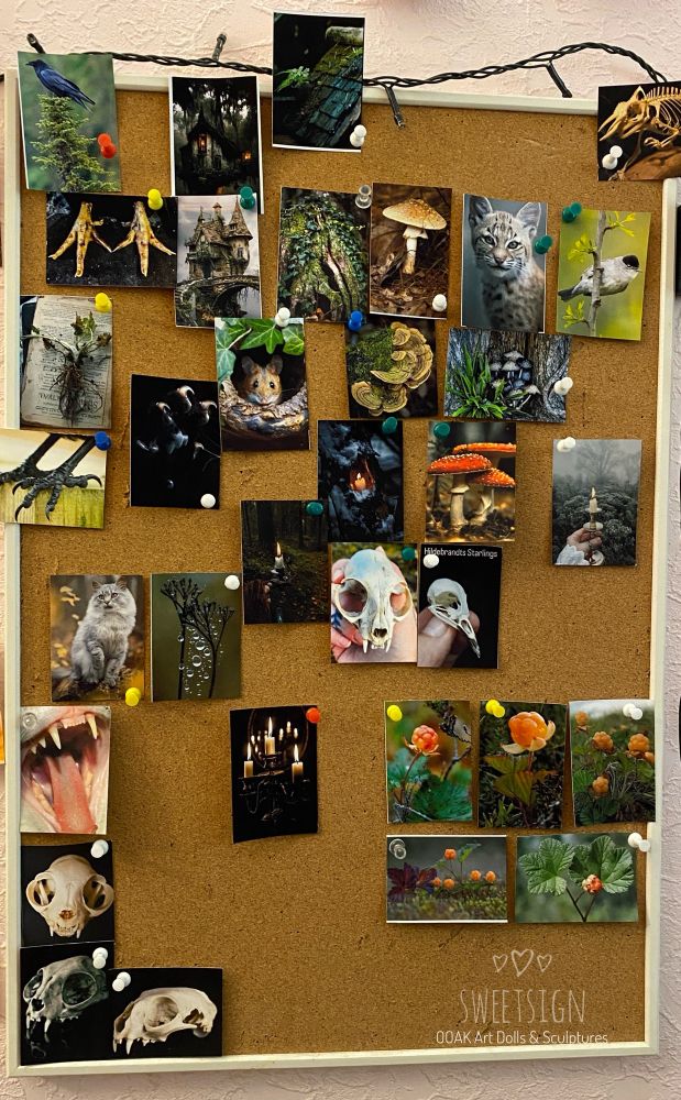 A cork board I have in my workroom for beautiful and inspiring picts and photos 