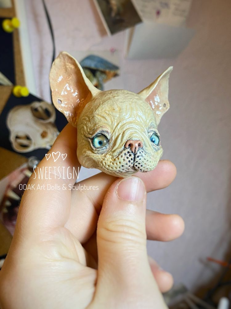 Blue eyed creamy french bulldog with pink nose, original handmade collectible art doll by Svetlana Polupanova ( SweetSign)
