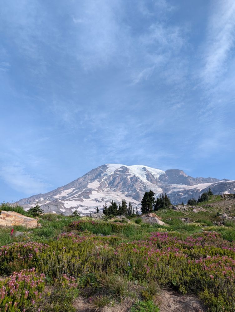 Mount Rainier again, with more sun and different wildflowers 