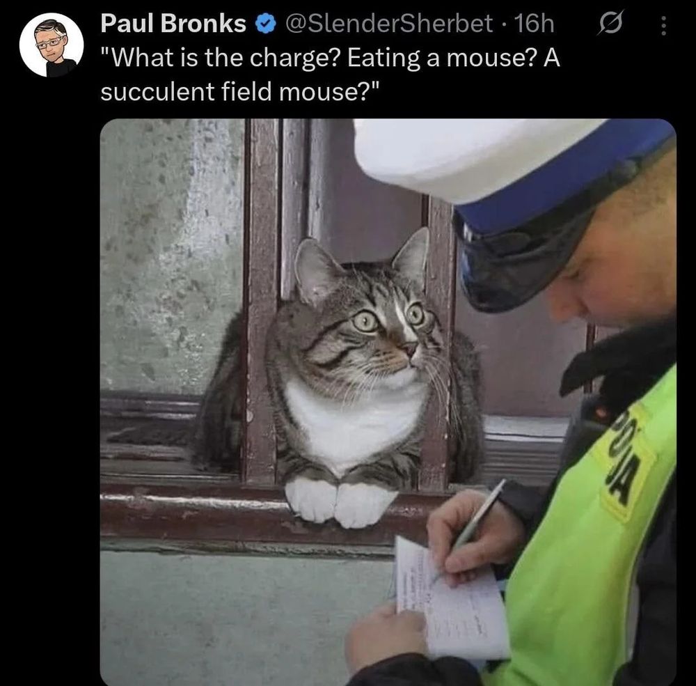 Cat getting a ticket feom police.

What is the charge? Eating a mouse? A succulent field mouse?