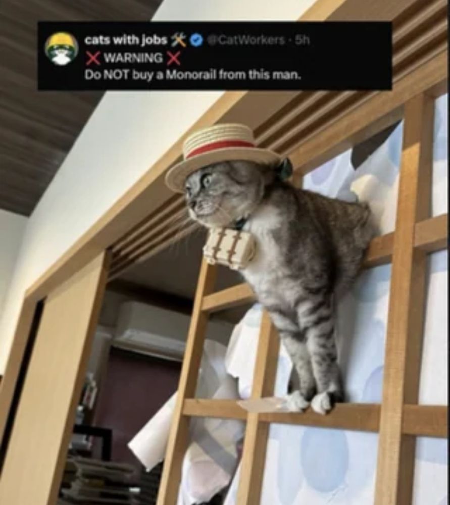 Cat in a straw hat pokimg through a wall. 

Warning. Do NOT buy a Monorail from this man.