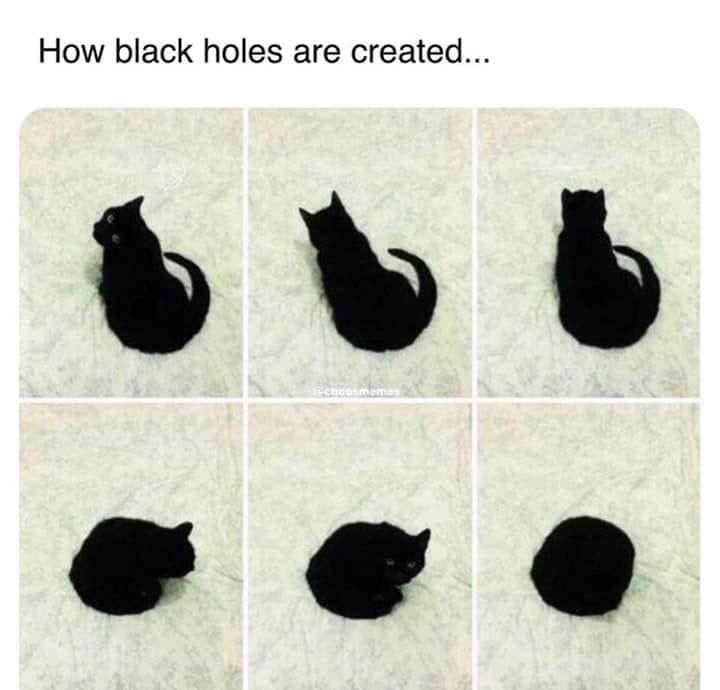How black holes are created...

Various photos of a cat slowly curling up into a black ball.