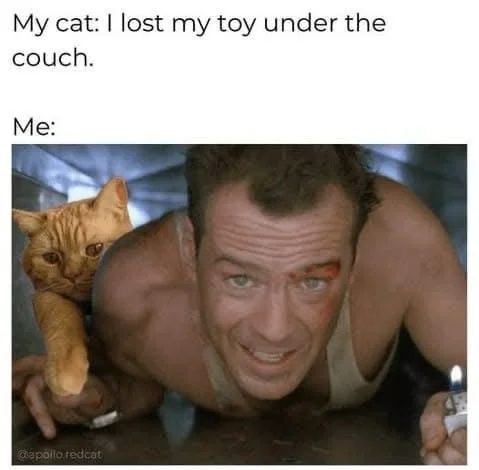 My cat: I lost my toy under the couch. Me: Bruce Willis from Die Hard crawling through the vents with a cat next to him.