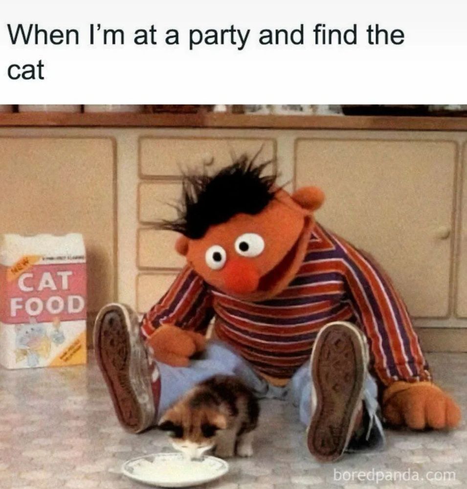 When I'm at a party and find the cat. Ernie from Sesame Street sitting on the ground with a kitten drinking milk from a plate.