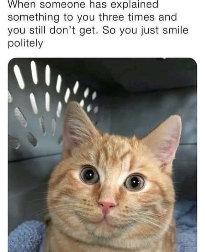 When someone has explained something to you three times and you still don't get. So you just smile politely Cat smiling politely.