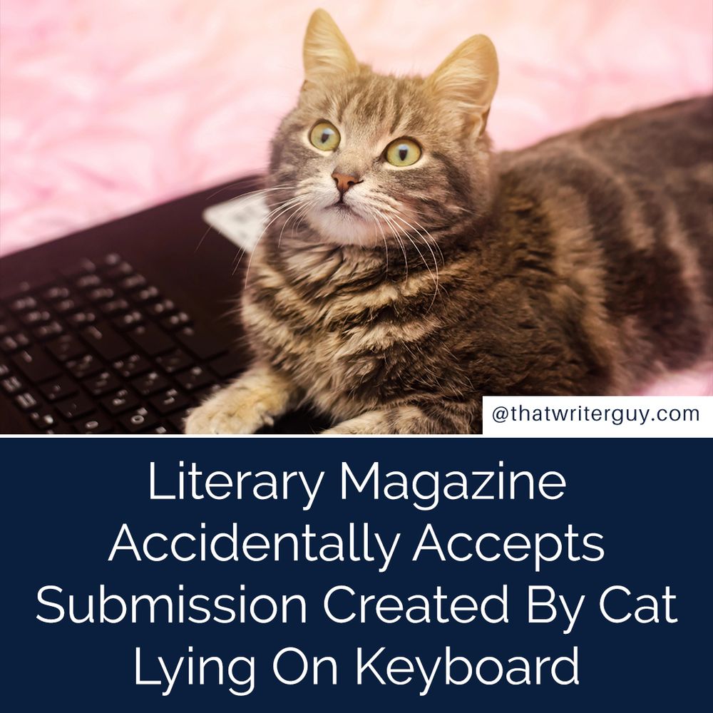 Literary Magazine Accidentally Accepts Submission Created By Cat Lying On Keyboard