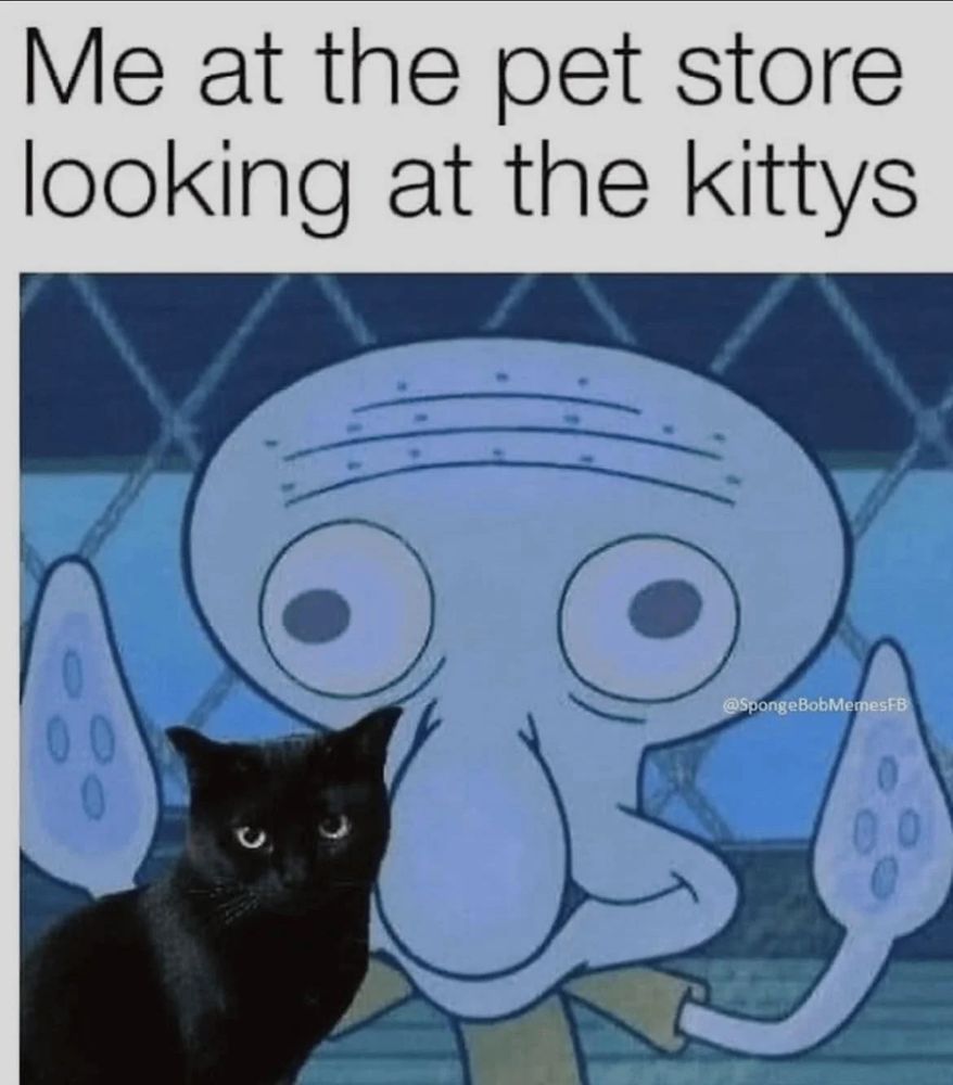 Me at the pet store looking at the kittys.