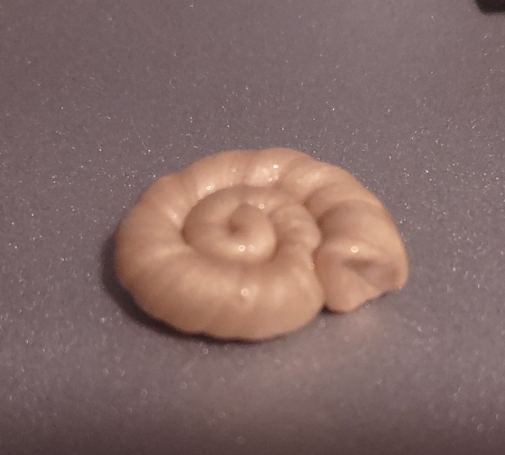 Swirly gold fossil-looking spiral with a slight opening at the end. Made of polymer clay.