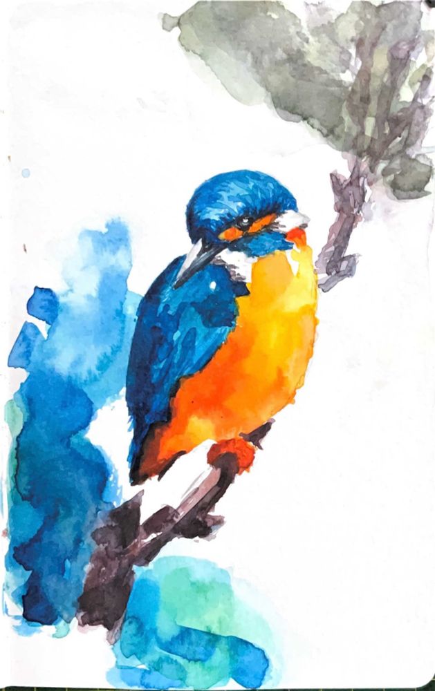 watercolour kingfisher