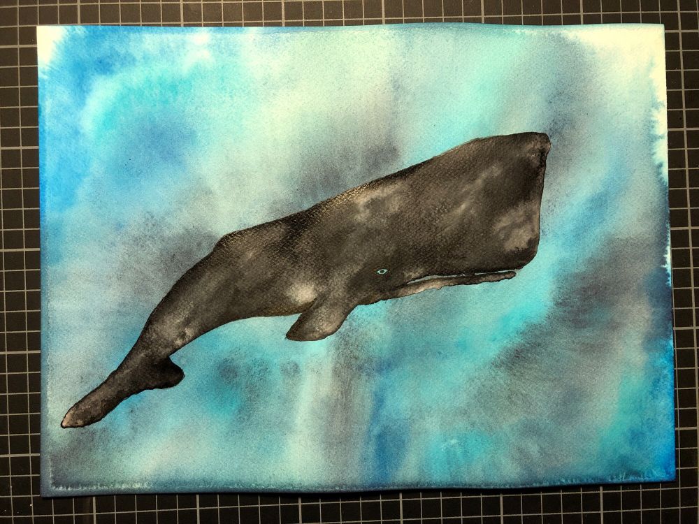 Pottwal in schwarz-grauer verlaufener Tinte, vor einem Hintergrund verschiedener ineinander verlaufener Blautöne