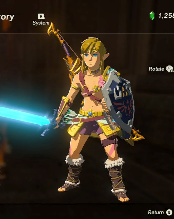 Botw screenshot of link in cute pink shorts and not much else
