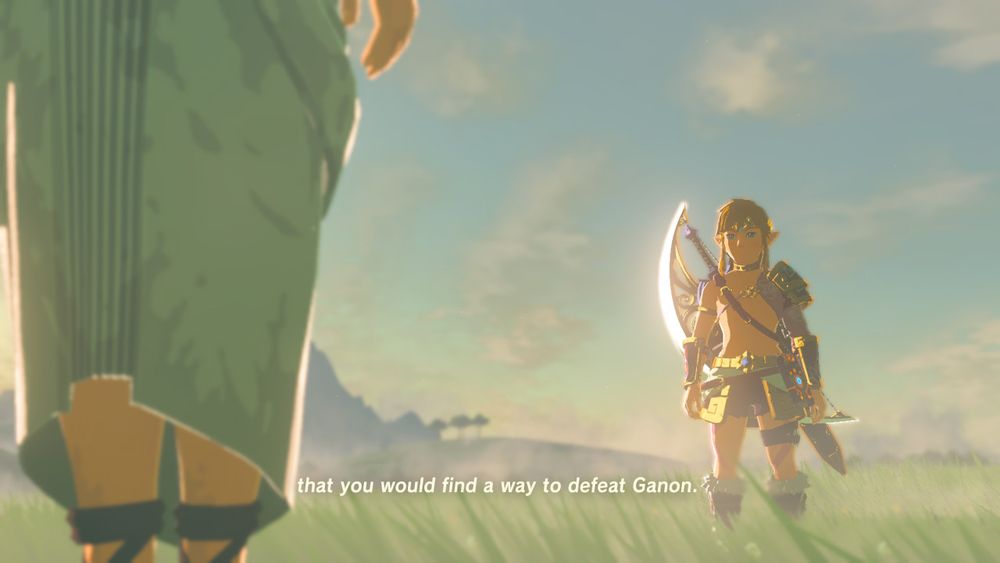 Botw screenshot of link after defeating ganon in cute pink shorts and not much else. Zelda is there congratuling us on finally arriving 