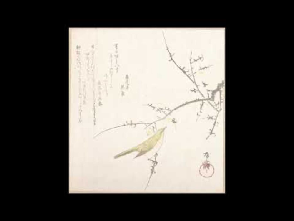 "Flight of the Nightingale" • Chamber Ensemble #neoclassical #neobaroque