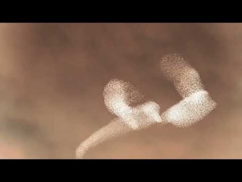 "MURMURATIONS" • Piano & Strings #neoclassical