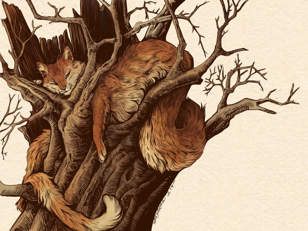 An ink drawing with light digital colouring of a Tatzelwurm ( a mythological creature reminiscent of a stretched out serpentine cat - this one is a ginger tabby) resting in a large dead tree. 