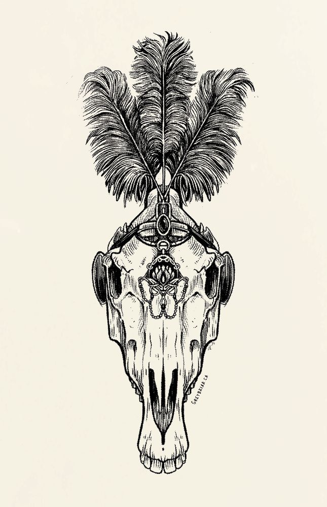 An ink illustration of a horse’s skull as seen from the front, with the trappings and decor of a funeral procession horse, including a black feathered headdress. 
#art #darkart #ink
