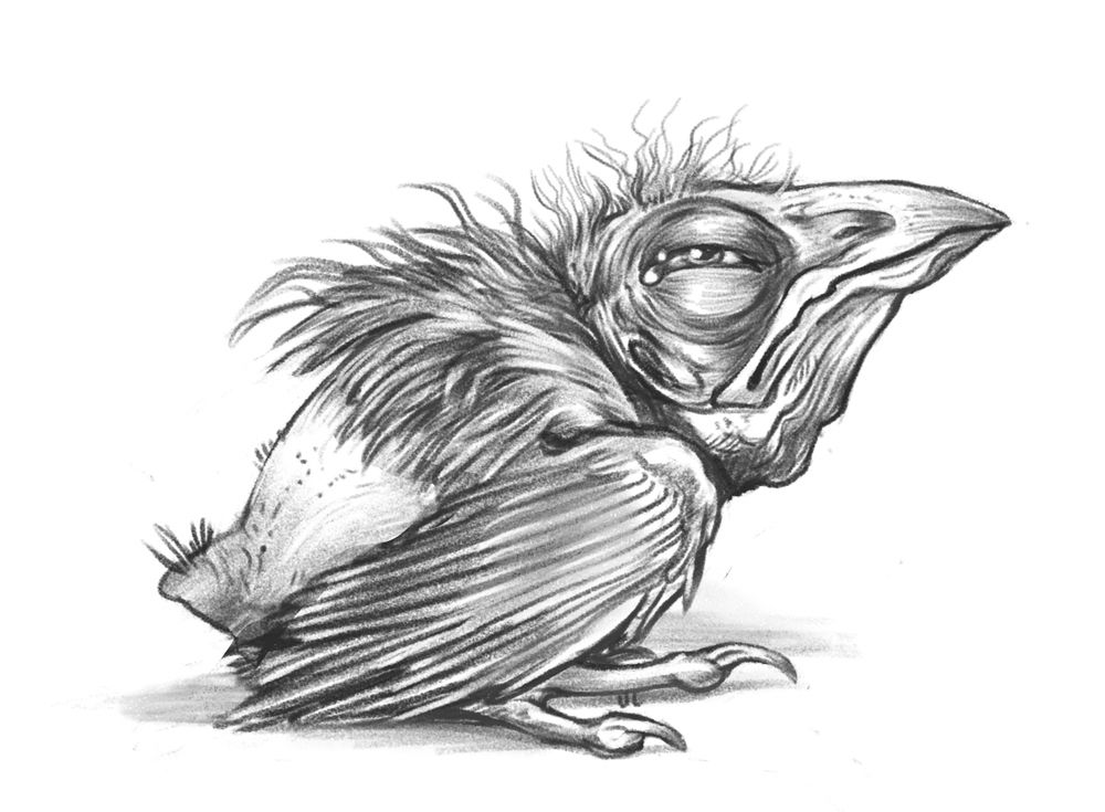 A very stylized drawing of a tired baby sparrow 