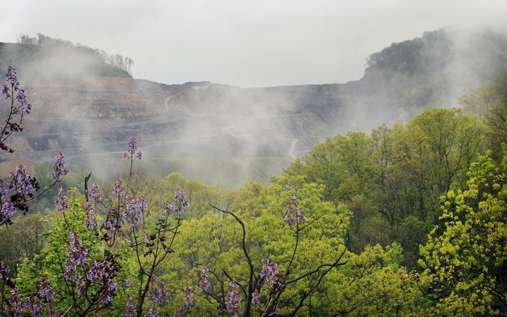 The surprising biodiversity of abandoned coal mines