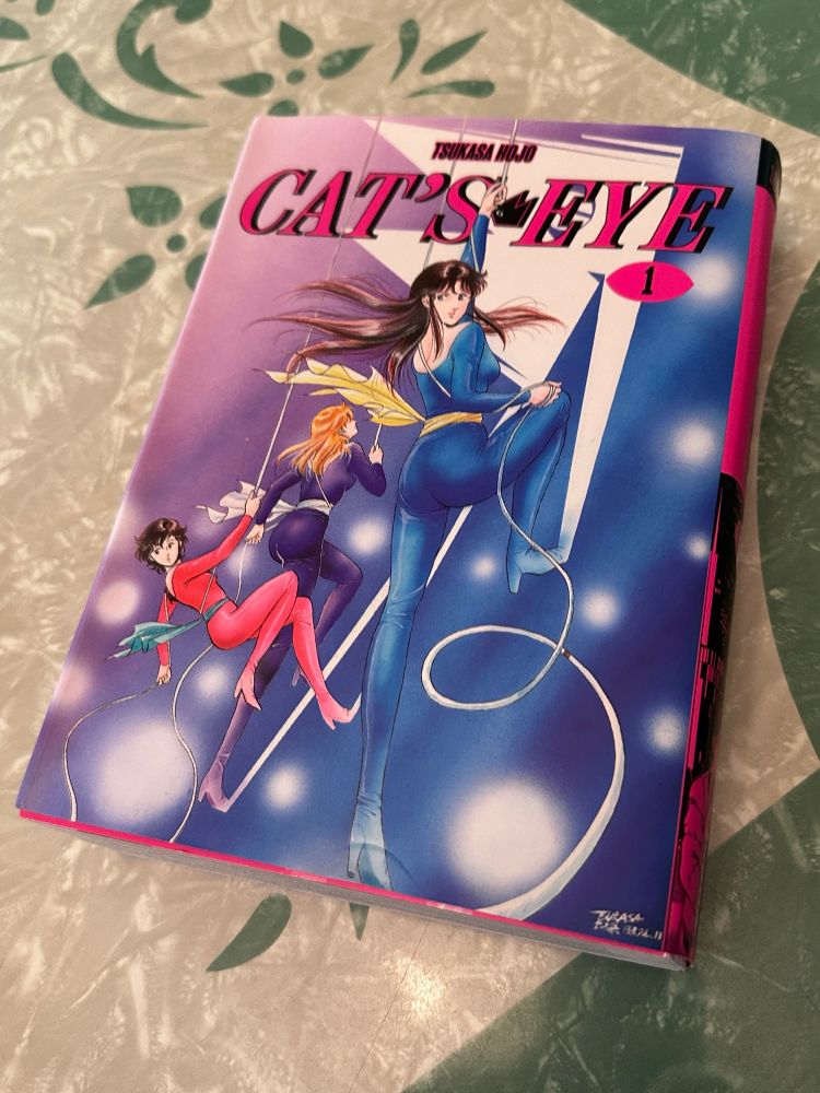 The manga “Cat’s Eye” by Tsukasa Hojo.