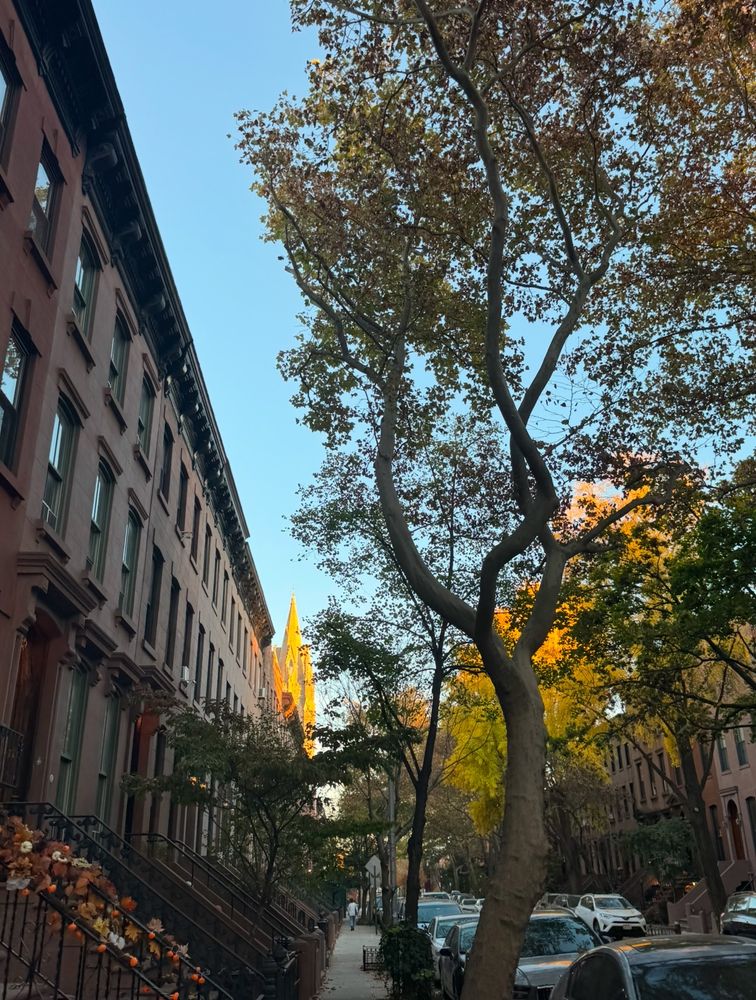 brooklyn at golden hour