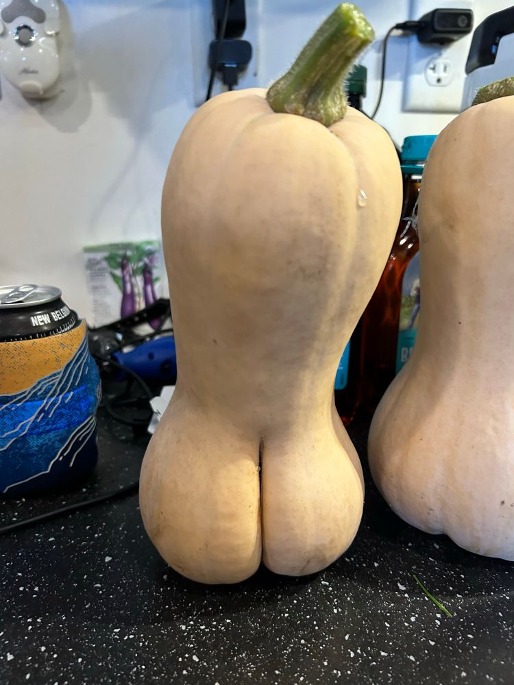 Cheeked up butternut squash.