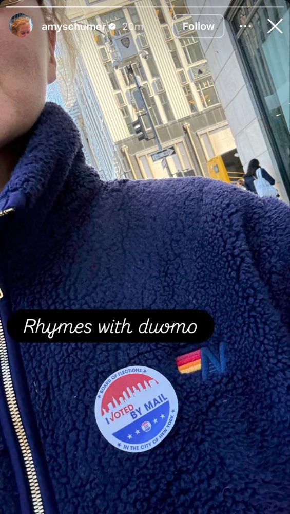amy schumer early voting for cuomo and posting to her insta story about it
