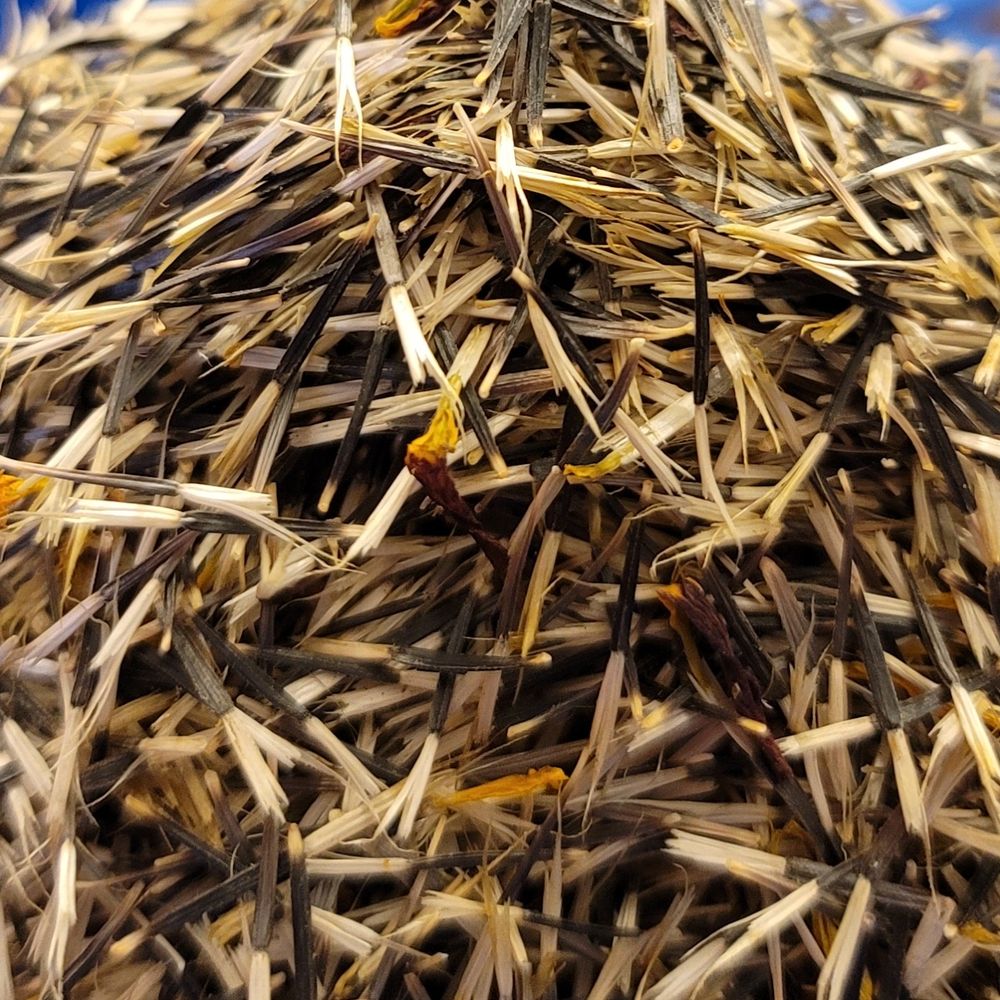 Close up of marigold seeds in a big, haystack-like pile of black and white. 