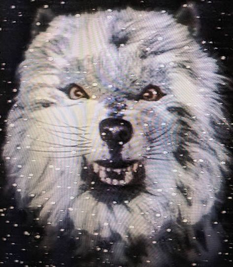 Wolf from the opening titles of BBC’s ‘Box of Delights’