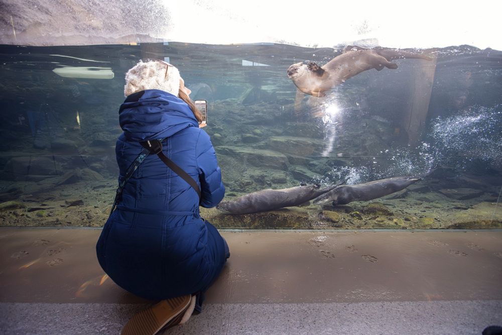 Calgary Zoo sets 90-year record for attendance in 2023