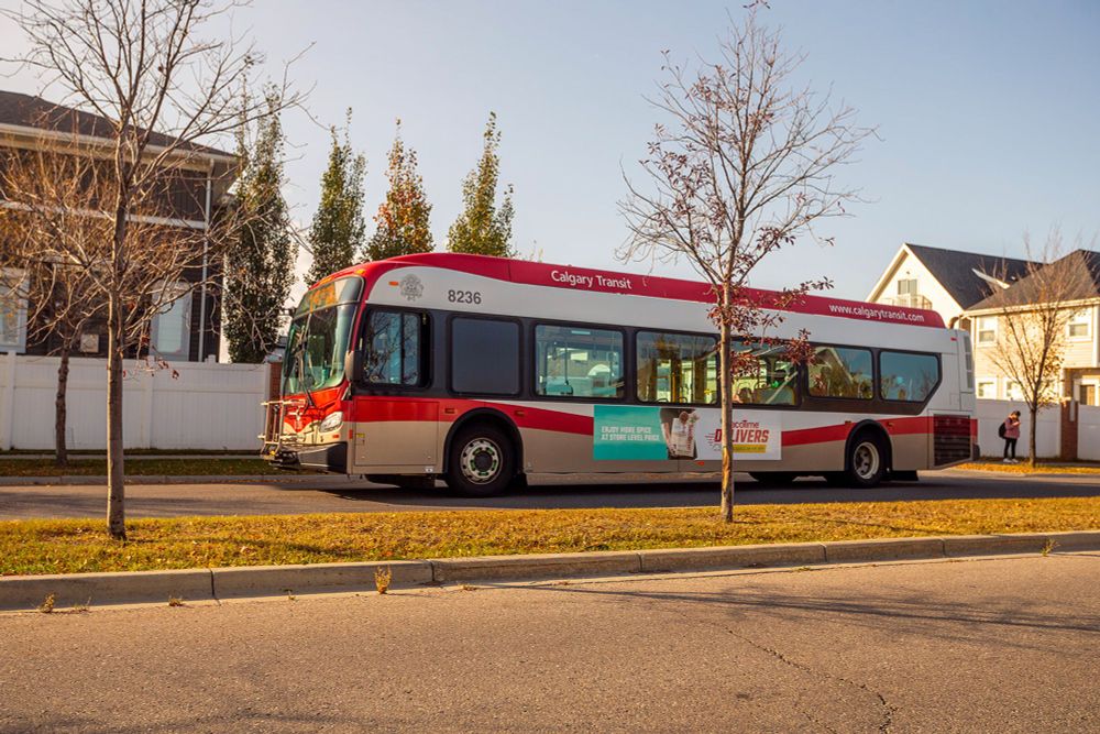 Low income transit pass provincial funding stripped from Calgary, Edmonton