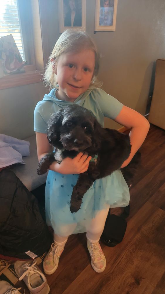 A young girl holding a small dog.