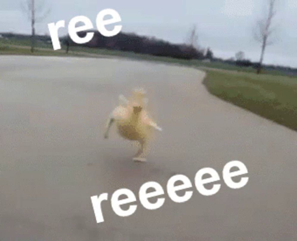 a duck is running down a road with ree and reeeee written on the bottom