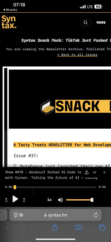 Screenshot after initial load of the website, shows it zoomed in a little