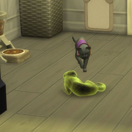 In-game screenshot from The Sims 4 showing two cats, one living and one a ghost (senior female cat, died of old age), moments after the living cat attacked the dead cat. Dead cat appears defeated and scared.