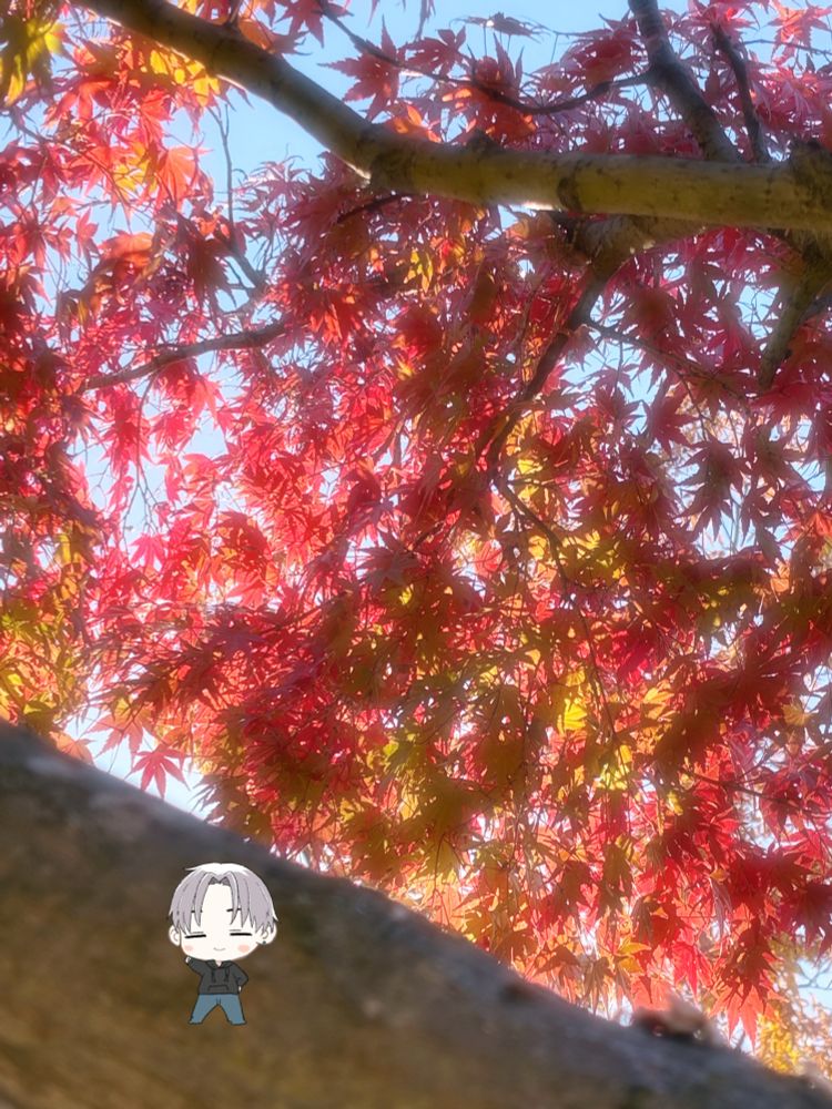 転生して一ヶ月…大人しくしてましたけど…
翠、動きます！
あ…動く気持ちだけはあります('ω' ;)