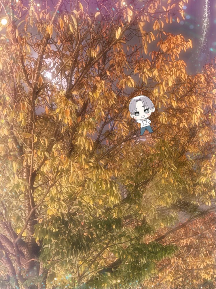 春とは違った色付き
綺麗でした(∩˘ω˘∩ )♡