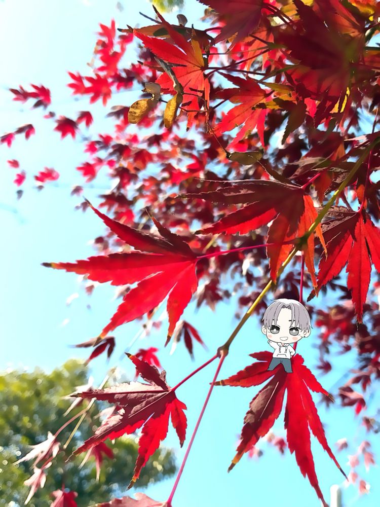 今週末は三連休だよ…三連休だよ…
疲れの出てくる水曜日に…
魔法の言葉…三連休(*´艸`)