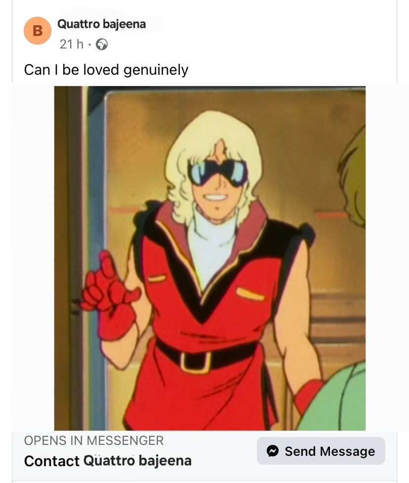 The fake Bill Hader account "can I be loved genuinely" Facebook post but I replaced it with Quattro Bajeena and. A picture of him looking fucking stupid and smiling 