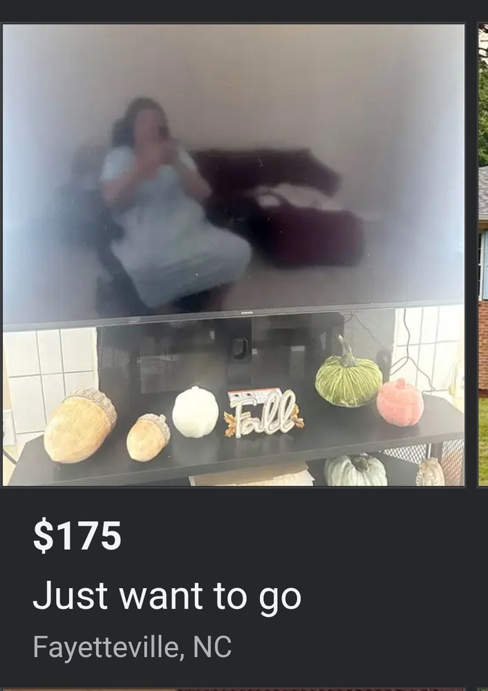 Fb marketplace listing of a woman selling a TV. Her blurry reflection is visible. $175. The caption is "Just want to go"
