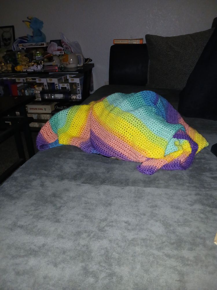 Crocheted rainbow blanket, in which a cat has buried herself. 
