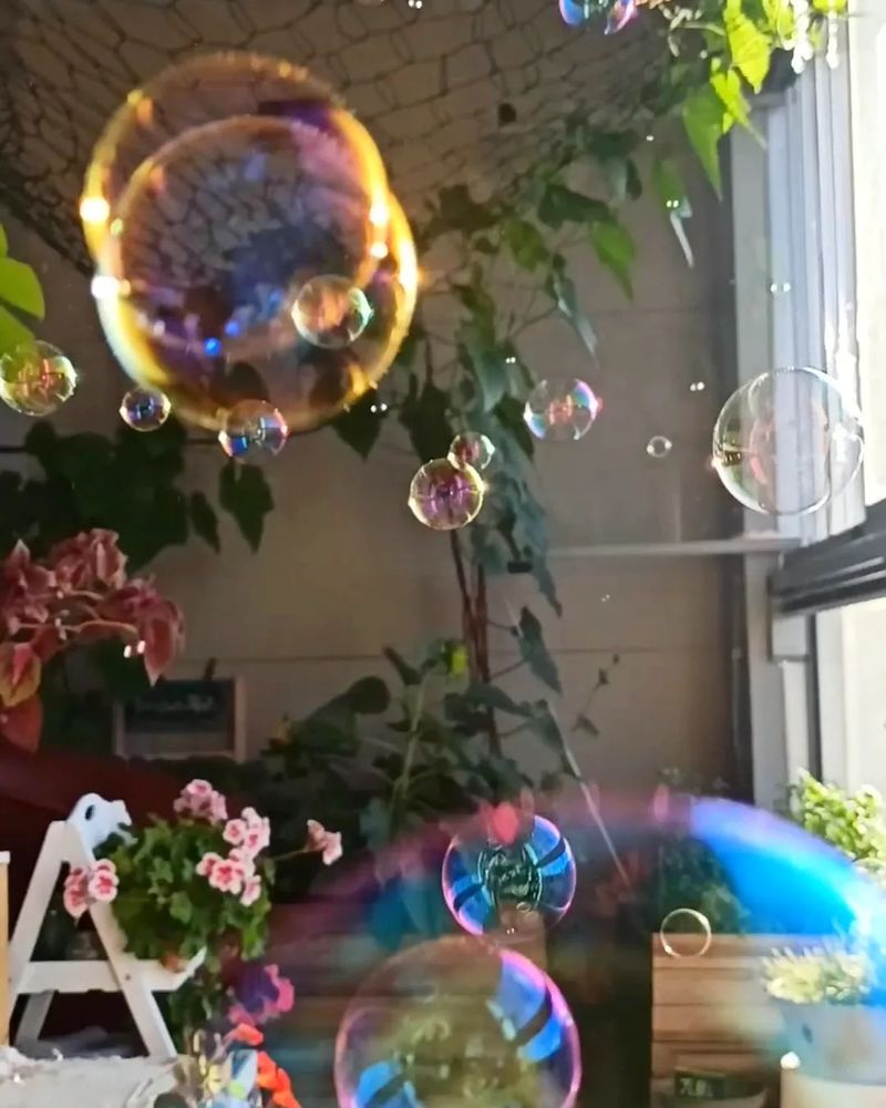 A lot of smaller bubbles and a balcony garden with begonias and sunflowers  and basil behind them. Some bubbles have golden hues, some cooler.