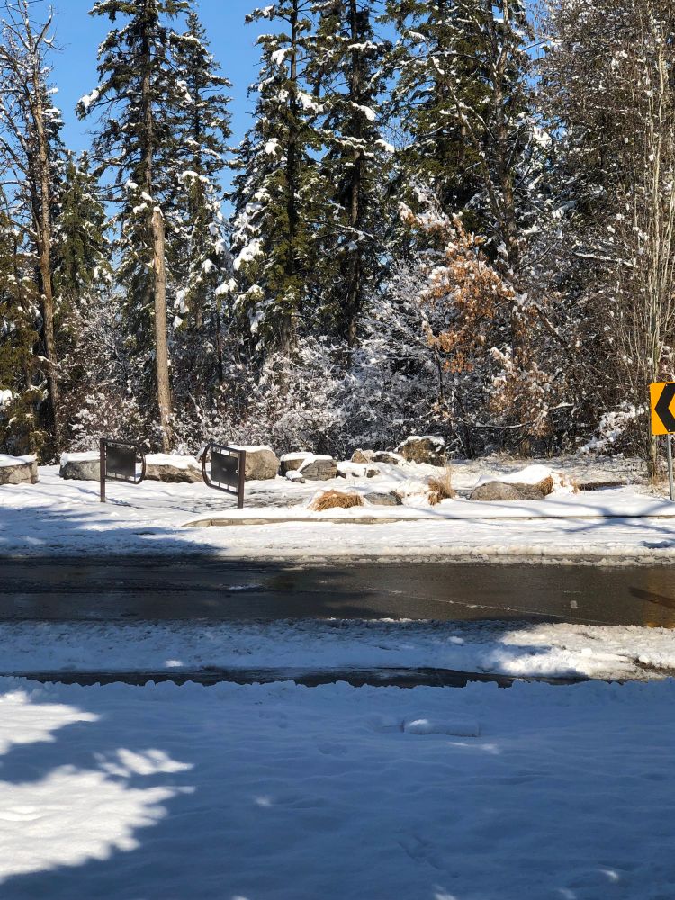 Melting snow on road, snowy trees in background. Blue sky today