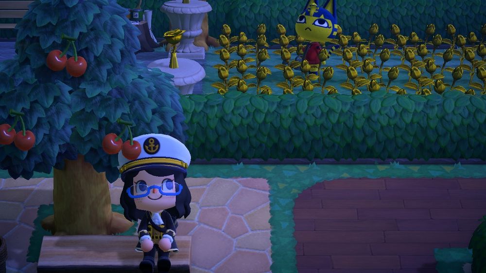The wild Ankha in my gold rose garden 