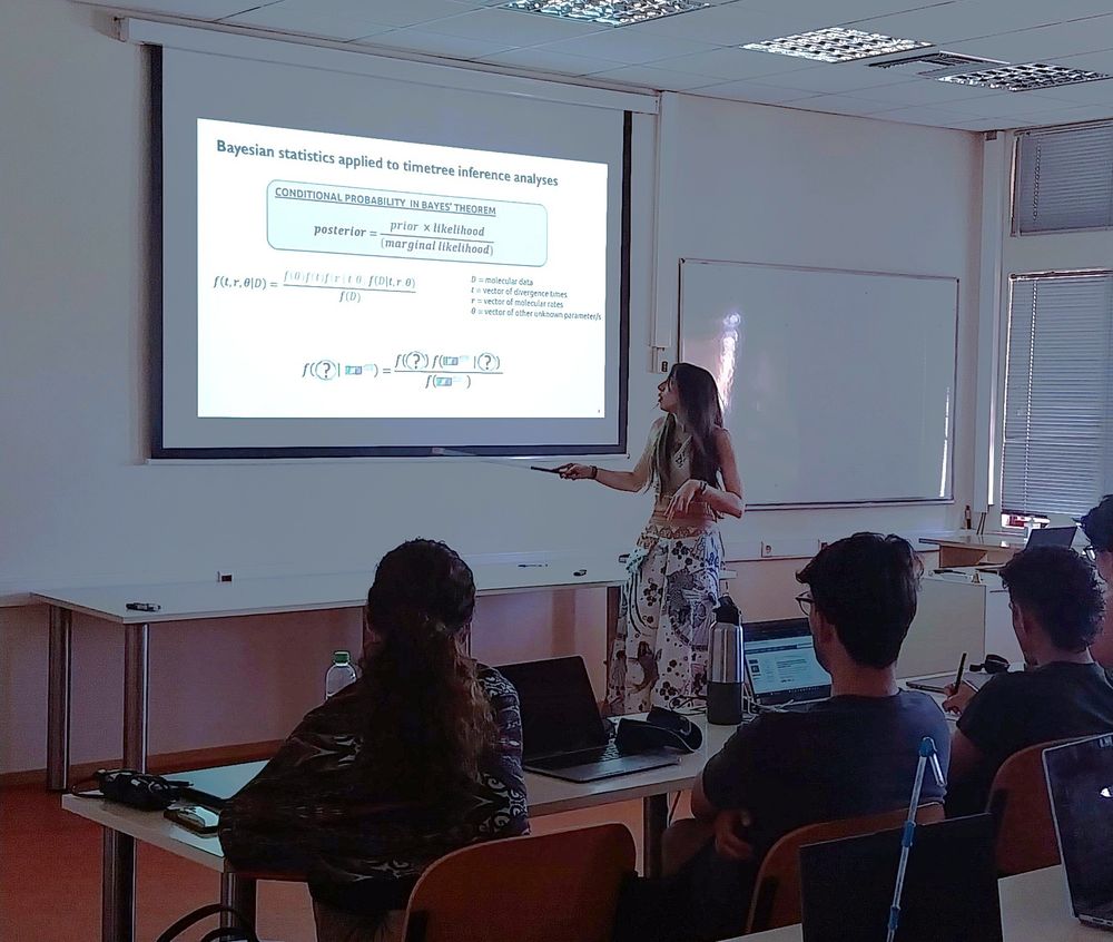 Sandy teaching Bayesian node-dating analyses for timetree inference at the Computational Molecular Evolution course.