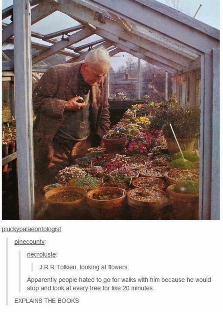 TOLKIEN LOVED NATURE OKAY?!