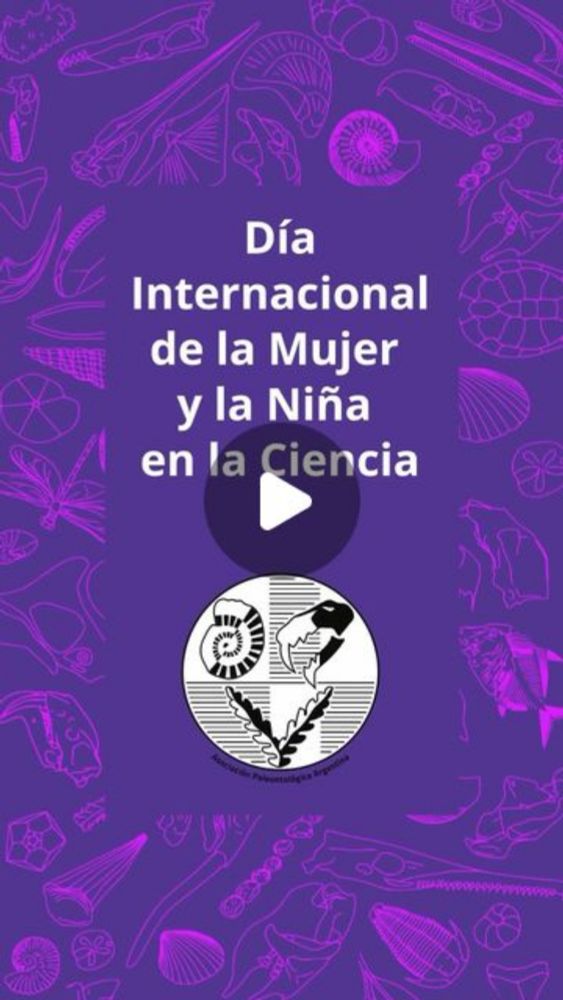 APA on Instagram: "El Día Internacional de la Mujer y La Niña en la Ciencia fue establecido por la ONU en 2015, con el objetivo de promover el acceso y la participación plena y equitativa en la cienci...