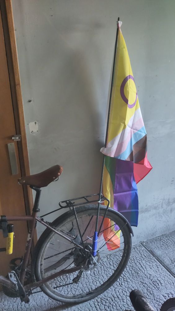 Vélo de rando avec un grand drapeau des fiertés LGBTQIA 
