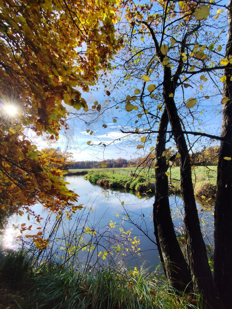 Das Bild zeigt eine ländliche Herbstlandschaft mit einem Fluss, der von Bäumen mit gelben Blättern gesäumt wird. Die Sonne scheint durch die Blätter auf der linken Seite des Bildes. Der Himmel ist blau mit einigen Wolken.